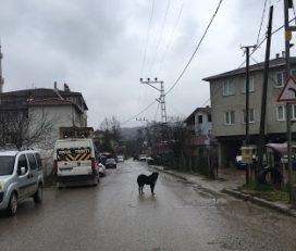 Şile Değirmençayırı Köyü Cami