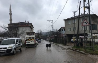 Şile Değirmençayırı Köyü Cami