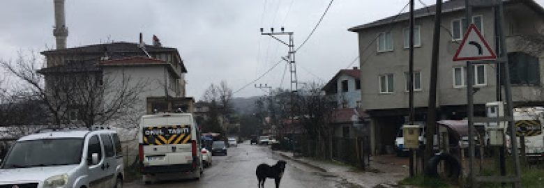 Şile Değirmençayırı Köyü Cami