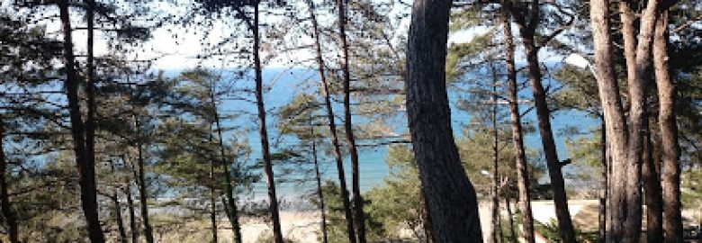 Şile Serintepe Piknik Alanı&Restorant