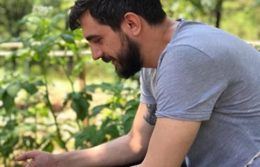 Doğancılı Camping Cafe Restaurant