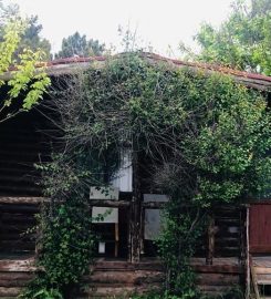 Bungalow Koyu