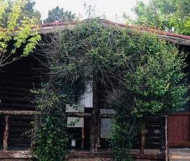 Bungalow Koyu