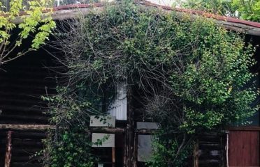 Bungalow Koyu