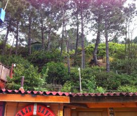 Sabribey Camping Kamp Alanı