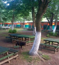 Green Park Camping Kamp Alanı