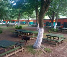 Green Park Camping Kamp Alanı