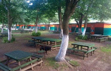 Green Park Camping Kamp Alanı