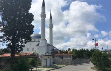 Şile Çam Altı Saklı Bahçe Gözleme ve Serpme Kahvaltı