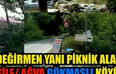 Şile Gökmaslı Değirmen Yanı Piknik Alanı