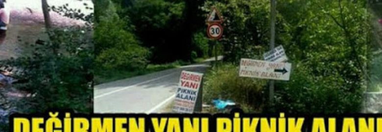 Şile Gökmaslı Değirmen Yanı Piknik Alanı