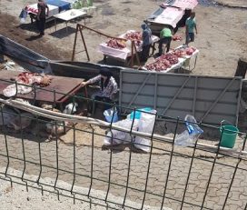Şile AT-AK DOĞAL ÇİFTLİK (KÖY YUMURTASI)