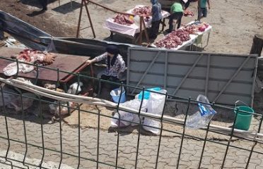 Şile AT-AK DOĞAL ÇİFTLİK (KÖY YUMURTASI)
