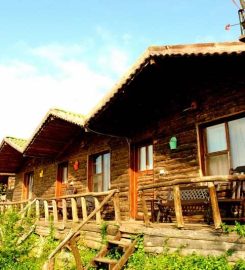 Woodyville Tree Houses and Cowboy City
