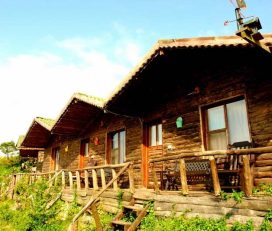 Woodyville Tree Houses and Cowboy City