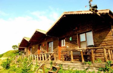 Woodyville Tree Houses and Cowboy City