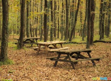 Avcıkoru Tabiat Parkı