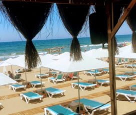 Palm Beach Şile