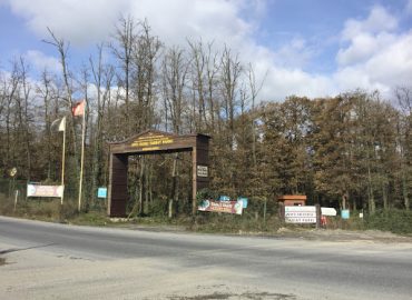 Avcıkoru Tabiat Parkı